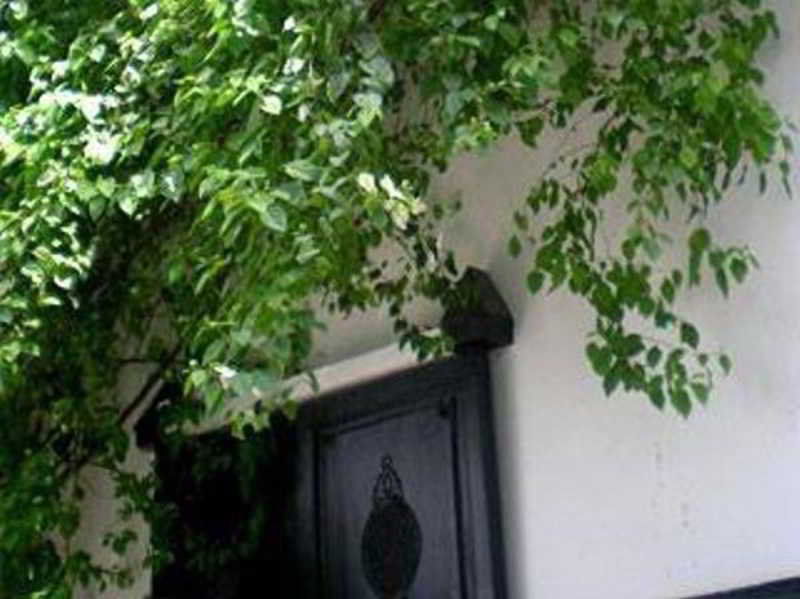 Riad Magellan Yoga And Spa Marakéš Exteriér fotografie